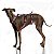 Peitoral Whippet/Galgo - Imagem 1