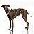 Peitoral Whippet/Galgo - Imagem 10