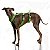 Peitoral Whippet/Galgo - Imagem 4