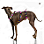 Peitoral Whippet/Galgo - Imagem 3