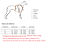 Peitoral Whippet/Galgo - Imagem 2