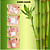 KINOKI - SPA PARA OS PÉS Adesivos de Limpeza e Relaxamento para os Pés - Imagem 6