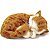 GATO MALHADO ORANGE TABBY - Imagem 2