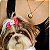 Colar Correntaria com pingente moeda escrito mãe de Pet folheado em ouro ( 45 cm) - Imagem 2