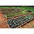 Fertilizante Adubo de Uso Geral NPK 10 10 10 - Imagem 6