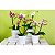 Fertilizante Adubo de Orquídea NPK 10 10 10 - Imagem 5