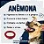 Anêmona higiênica para cachorro maciça super durável com corda 110 mm - Imagem 2