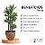 Perlita expandida grossa premium para substrato CPC Garden - Imagem 2