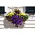 Substrato Pronto Uso Para Flores e Plantas Ornamentais 4 Kg - Imagem 4