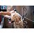 Shampoo Pet de Uso Geral para Cães e Gatos 500 ml - Imagem 3