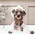 Shampoo Pet de Uso Geral para Cães e Gatos 500 ml - Imagem 4
