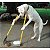 Limpa Canil Eliminador de Odores de Cães e Gatos 5 L - Imagem 3