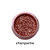 Pigmento champanhe - anairana - Imagem 1