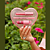 Kit Fran Love Kit Gloss Labial E Lápis Labial Franciny Ehlke - Imagem 4