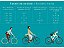 Bicicleta Aro 700 Road/Gravel - Oggi Velloce Disc 2022 - Shimano Claris - Alumínio - Cores - Imagem 3
