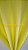 PACOTE COM 10 FOLHAS 40X50 DE 1.5MM ( AMARELO BB ) - Imagem 1
