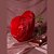 Almofada de Coração  Vermelha Decorativa 40x45x13 - Imagem 3