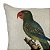 Almofada Passaro Papagaio 420-12 52x52cm Decortextil - Imagem 2