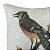 Almofada Passaro Gaio Azul 130-80 52x52cm Decortextil - Imagem 2