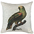 Almofada Passaro Papagaio 130-82 52x52cm Decortextil - Imagem 1