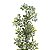 Pick Galho Folhas Verde 61Cm 1039980 1un Cromus - Imagem 3