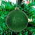 Bola Natalina 8cm Verde C/10PC Mista Cromus - Imagem 3