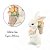 Mini Coelho Da Páscoa La Belle Cesta C/Flores 1064479 11,5cm - Imagem 6
