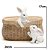 Coelho de Pascoa Brezze Cesto Decorativo 1038062 17x20x20cm (AxLxP) - Imagem 3