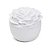 Vela Perfumada Chá Branco Flor G Edição Especial 160g - Imagem 2