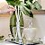 Sabonete Liquido Floresta Tropical  350ml  GreensWet - Imagem 3