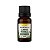 Essência Clássica Pinho 15ml Linha Herbal - Imagem 1