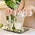 Refil Sabonete Liquido Floresta Tropical 300ml Greenswet - Imagem 2