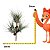 Galho Com Pinhas Grande 55 C/1Unid 1069394 - Imagem 3