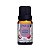 Essencia Caszulo Ameixa Negra 10ml - Imagem 1