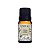 Essencia Caszulo Capim Limao 10ml - Imagem 1