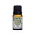 Essencia Caszul Alecrim 10ml - Imagem 1