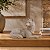 Escultura Lobo Em Poliresina 20x30,5x15cm (AxLxP) Mart 22818 - Imagem 2