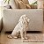 Escultura Leao Sentado Em Poliresina 53x26,5x56cm (AxLxP) Mart 22456 - Imagem 2
