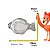 Travessa De Vidro De Peixe 29X16CM 1Pc 29698 P Tuut - Imagem 4