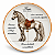 Prato De Sobremesa Cavalo Frísio Raças Equinas Pet Mania 21,5cm Porto Brasil - Imagem 1