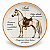 Prato De Sobremesa Cavalo Árabe Pet Mania 21,5cm Porto Brasil - Imagem 1