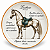 Prato De Sobremesa Cavalo Lusitano Raças Equinas Pet Mania 21,5cm Porto Brasil - Imagem 1