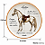 Prato De Sobremesa Cavalo Lusitano Raças Equinas Pet Mania 21,5cm Porto Brasil - Imagem 3