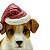Boneco Natalino Cachorro Decorativo 17x10cm Resina - Imagem 3
