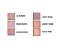 Gel 18ml - Crush - Imagem 2