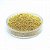 Caviar para Encapsulamento Dourado - Hêlen Color - Imagem 2