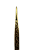 Pinça Reta Dourada A5 - Sky - Imagem 2