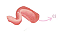 Brilho Labial - Lua & Neve - Imagem 4