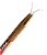 Prego Esponja - Kaisa - Imagem 2