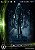 【NOVO / LACRADO】Alien Big Chap Limited Version - Aliens - Museum Art 1/3 Scale - Prime 1 Studio - Imagem 9
